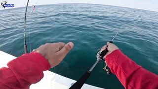 Рыбалка на юге Катара лодка пустыня и Персидский залив когда вокруг только море и песок