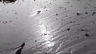 Подводная охота и морская рыбалка в Шардже охота на хамурию у скалистого берега