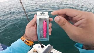 Kingfish кастингом морская рыбалка в Катаре у песчаных берегов и прозрачной голубой воды