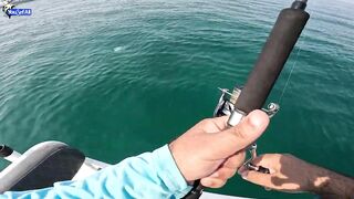 Kingfish кастингом морская рыбалка в Катаре у песчаных берегов и прозрачной голубой воды