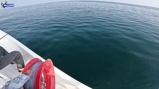 Kingfish кастингом морская рыбалка в Катаре у песчаных берегов и прозрачной голубой воды