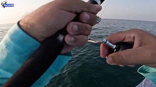 Kingfish кастингом морская рыбалка в Катаре у песчаных берегов и прозрачной голубой воды