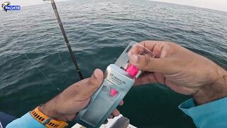 Kingfish кастингом морская рыбалка в Катаре у песчаных берегов и прозрачной голубой воды