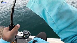 Kingfish кастингом морская рыбалка в Катаре у песчаных берегов и прозрачной голубой воды