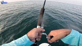 Kingfish кастингом морская рыбалка в Катаре у песчаных берегов и прозрачной голубой воды