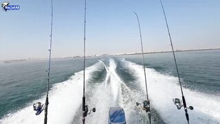 Kingfish кастингом морская рыбалка в Катаре у песчаных берегов и прозрачной голубой воды