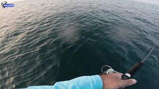 Kingfish кастингом морская рыбалка в Катаре у песчаных берегов и прозрачной голубой воды