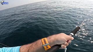 Kingfish кастингом морская рыбалка в Катаре у песчаных берегов и прозрачной голубой воды