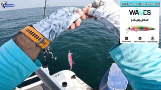 Kingfish кастингом морская рыбалка в Катаре у песчаных берегов и прозрачной голубой воды