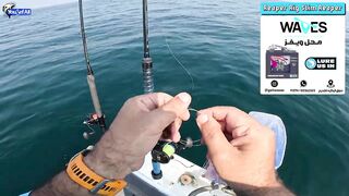 Kingfish кастингом морская рыбалка в Катаре у песчаных берегов и прозрачной голубой воды