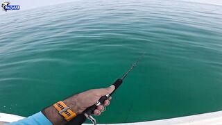 Kingfish кастингом морская рыбалка в Катаре у песчаных берегов и прозрачной голубой воды