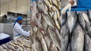 Цены на рыбу в Шардже: сколько стоит свежий улов на местном рыбном рынке у моря