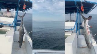 Охота на kingfish в Шардже морская рыбалка с лодки выпуск два