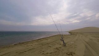 Рыбалка в Катаре inland юг страны песок вокруг и зеркальная заводь с голодной рыбой