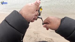 Рыбалка в Катаре inland юг страны песок вокруг и зеркальная заводь с голодной рыбой