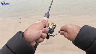 Рыбалка в Катаре inland юг страны песок вокруг и зеркальная заводь с голодной рыбой