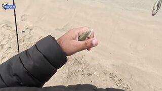 Рыбалка в Катаре inland юг страны песок вокруг и зеркальная заводь с голодной рыбой