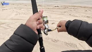 Рыбалка в Катаре inland юг страны песок вокруг и зеркальная заводь с голодной рыбой