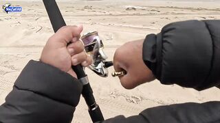 Рыбалка в Катаре inland юг страны песок вокруг и зеркальная заводь с голодной рыбой