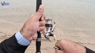 Рыбалка в Катаре inland юг страны песок вокруг и зеркальная заводь с голодной рыбой