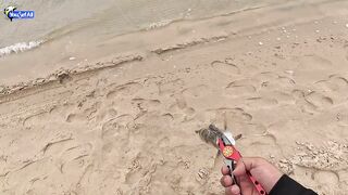 Рыбалка в Катаре inland юг страны песок вокруг и зеркальная заводь с голодной рыбой