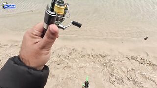 Рыбалка в Катаре inland юг страны песок вокруг и зеркальная заводь с голодной рыбой