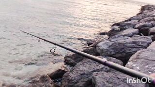 Береговая рыбалка в Катаре песчаный пляж сильный ветер и дальние забросы