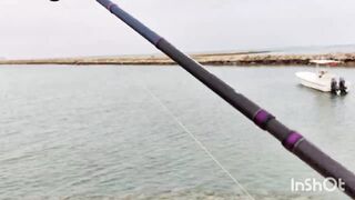 Береговая рыбалка в Катаре песчаный пляж сильный ветер и дальние забросы