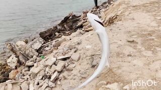 Береговая рыбалка в Катаре песчаный пляж сильный ветер и дальние забросы