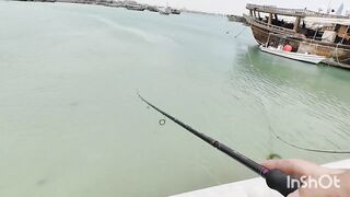 Береговая рыбалка в Катаре песчаный пляж сильный ветер и дальние забросы