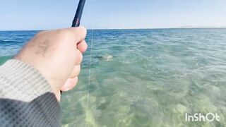 Береговая рыбалка в Катаре песчаный пляж сильный ветер и дальние забросы