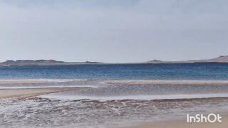 Береговая рыбалка в Катаре песчаный пляж сильный ветер и дальние забросы