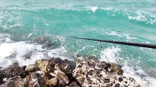 Береговая рыбалка в Катаре песчаный пляж сильный ветер и дальние забросы