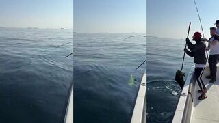 Морская рыбалка в ОАЭ трофейные хищники Персидского залива и огни Дубая