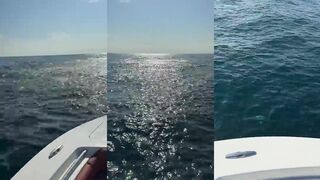 Trevally в Дубае морская рыбалка в ОАЭ и мощные рывки хищника у небоскрёбов