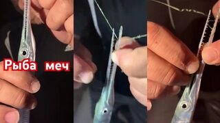 Морская рыбалка в Катаре поймали рыбу-меч в Персидском заливе настоящий восточный трофей