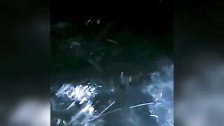 Ночная морская рыбалка в Катаре огни города вокруг а поклёвки слышны только по звону колокольчика