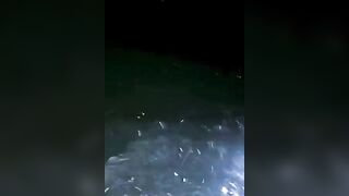 Ночная морская рыбалка в Катаре огни города вокруг а поклёвки слышны только по звону колокольчика