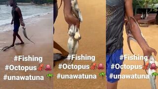 India Sri Lanka Unawatuna осьминог и рыбалка на пляже в одном коротком ролике