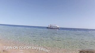 Что нужно знать перед поездкой в Sharm el Sheikh 2025 если хотите море и рыбалку