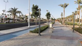 Что нужно знать перед поездкой в Sharm el Sheikh 2025 если хотите море и рыбалку