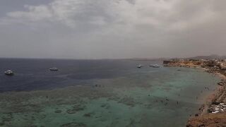 Что нужно знать перед поездкой в Sharm el Sheikh 2025 если хотите море и рыбалку