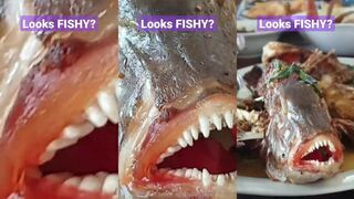 Unawatuna Sri Lanka выглядит совсем рыбным может устроить тут рыбалку с утра пораньше