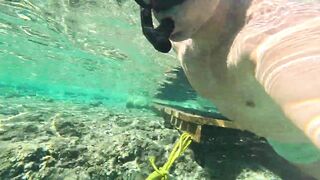 Red Sea snorkeling Sharm el Sheikh Naama Bay синие тревалли и жизнь рифа под ластами