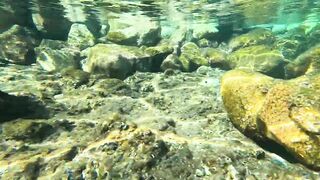 Red Sea snorkeling Sharm el Sheikh Naama Bay синие тревалли и жизнь рифа под ластами