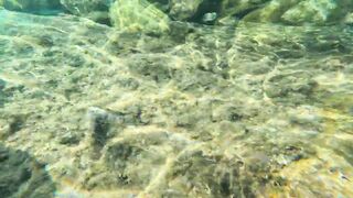 Red Sea snorkeling Sharm el Sheikh Naama Bay синие тревалли и жизнь рифа под ластами