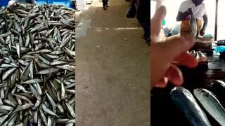 Unawatuna Sri Lanka, бюджетный отдых еда пляж и немного рыбалки у берега