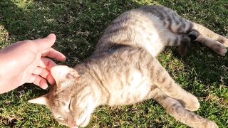 Скрытый рай в Sharm el Sheikh тур всего за 39 евро и морская рыбалка рядом с коралловыми рифами