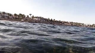 Скрытый рай в Sharm el Sheikh тур всего за 39 евро и морская рыбалка рядом с коралловыми рифами