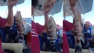 Весь кайф морской рыбалки в Sharm El Sheikh лодка рифы и яркое солнце